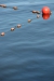 Absperrung.jpg